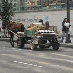 工事現場から物を運ぶ馬と、買い物帰りの女性。